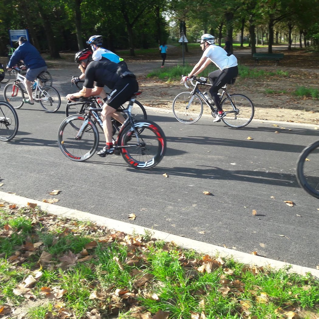 Aire de cyclisme et de course 2